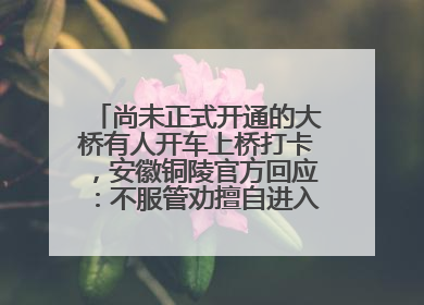 尚未正式开通的大桥有人开车上桥打卡，安徽铜陵官方回应：不服管劝擅自进入，已采取措施